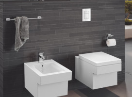 Безободковый унитаз