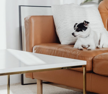 Трендовые цвета в интерьере 2021