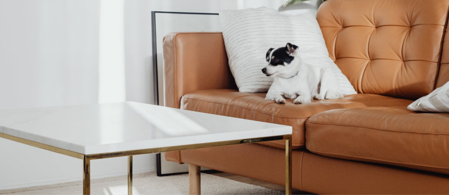  Трендовые цвета в интерьере 2021