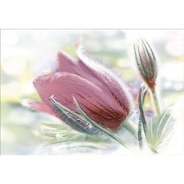 DWU07LIL025 Декор Lila 249*364 РАСПРОДАЖА