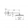 26558GN0 Верхний душ GROHE Rainshower 310 Mono, 1 режим струи, холодный рассвет матовый