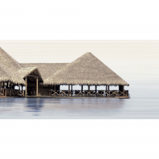 DWU09DLM024 Декор Del Mare 249*500