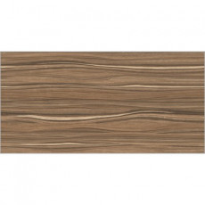 TWU09PLS424 Плитка облицовочная гладкая Plesso 249*500