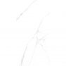 Керамогранит матовый PEARL STATUARIO 600*1200