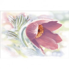 DWU07LIL005 Декор Lila 249*364 РАСПРОДАЖА