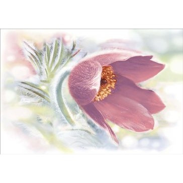 DWU07LIL005 Декор Lila 249*364 РАСПРОДАЖА