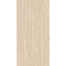 RLV.EDDYSTONE ARENA 600*1200 керамогранит матовый