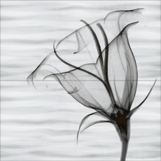 PWU09EST2 Панно из 2 плиток Esta 500*500 РАСПРОДАЖА