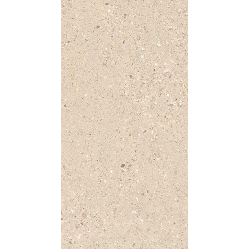 ASTRA ARENA 600*1200 керамогранит матовый