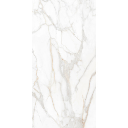 SM02 Неполированный Керамогранит 60x120