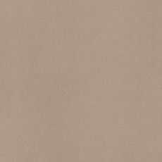 CA00 Керамогранит Неполированный  60x120x10