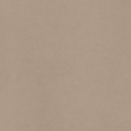 CA00 Керамогранит Неполированный  60x120x10