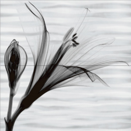 PWU09EST1 Панно из 2 плиток Esta 500*500 РАСПРОДАЖА