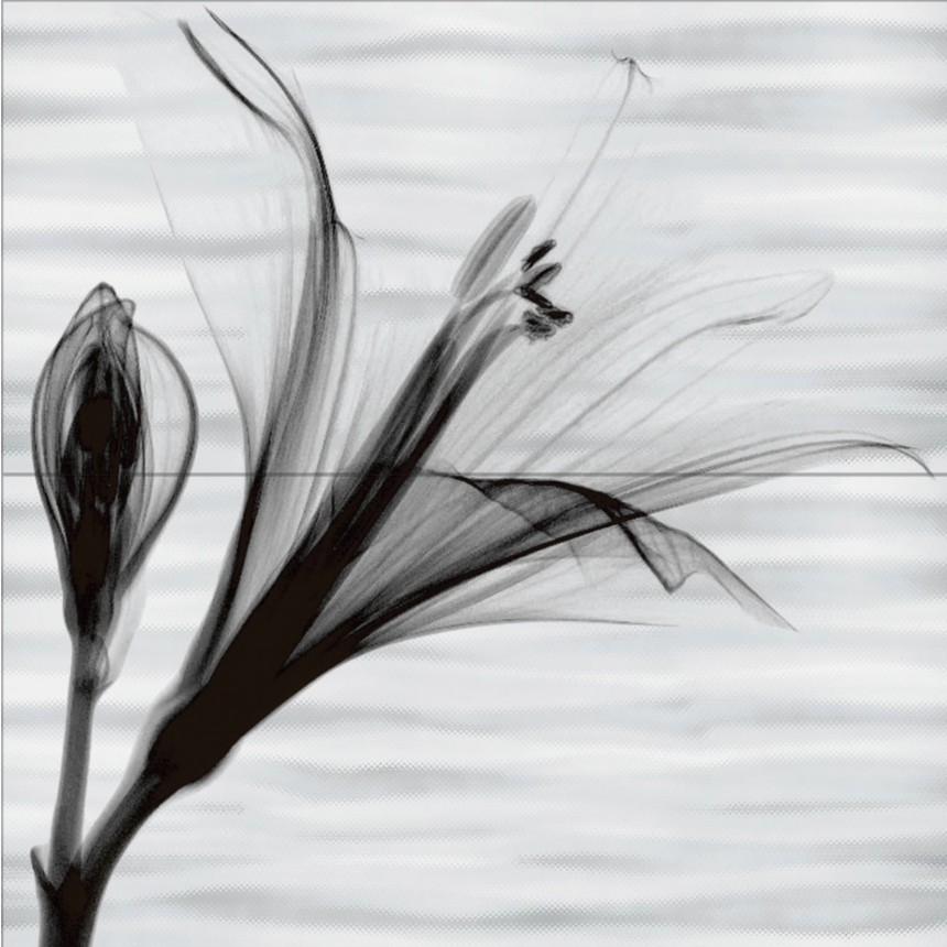 PWU09EST1 Панно из 2 плиток Esta 500*500 РАСПРОДАЖА